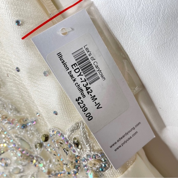 Ed Young NWT Illusion Back Chiffon Gown Evening Formal Dress Medium Ivory - Picture 11 of 17
